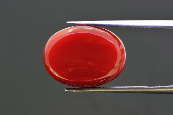 16.12 cts Natural Coral (Moonga)