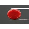 16.12 cts Natural Coral (Moonga)