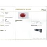 IIGJ Research & Laboratories | GJEPC Report for 16.12 cts Natural Coral (Moonga)