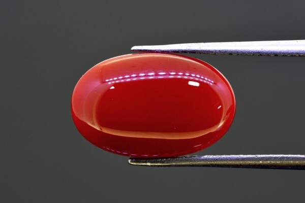 6.89 cts Natural Coral (Moonga)
