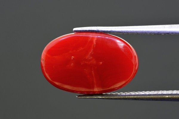 6.89 cts Natural Coral (Moonga)