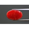6.89 cts Natural Coral (Moonga)