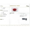 IIGJ Research & Laboratories | GJEPC Report for 6.89 cts Natural Coral (Moonga)