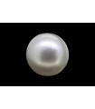 2.88 cts Cultured Pearl (Moti)