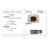 IIGJ Research & Laboratories | GJEPC Report for 6.32 cts Natural Hessonite Garnet (Gomedh)