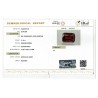 IIGJ Research & Laboratories | GJEPC Report for 11.14 cts Natural Hessonite Garnet (Gomedh)