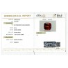 IIGJ Research & Laboratories | GJEPC Report for 8.53 cts Natural Hessonite Garnet (Gomedh)