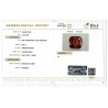 IIGJ Research & Laboratories | GJEPC Report for 6.06 cts Natural Hessonite Garnet (Gomedh)
