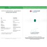 C Dunaigre Switzerland Report for 8.83 cts Natural Emerald - Colombia (Panna)
