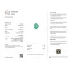 International Gemological Institute Report for 3.01 cts Natural Emerald - Colombia (Panna)