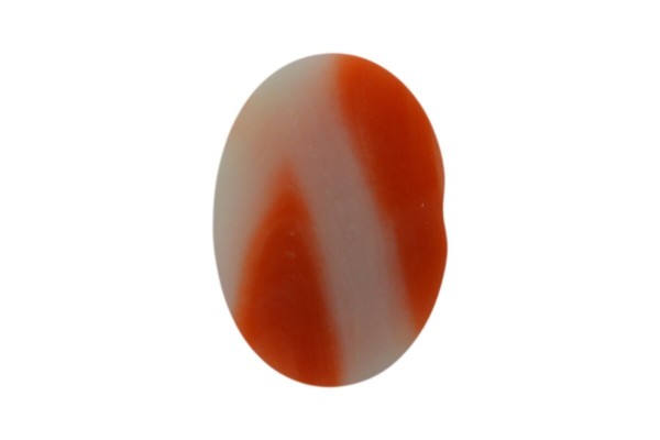 3.1 cts Natural Coral (Moonga)