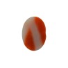 3.1 cts Natural Coral (Moonga)