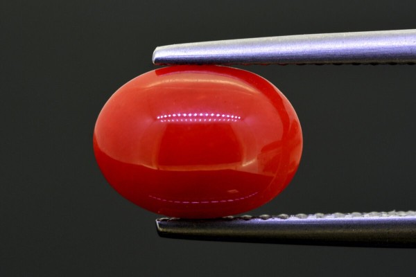 2.72 cts Natural Coral (Moonga)
