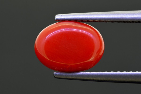 2.72 cts Natural Coral (Moonga)