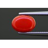 2.72 cts Natural Coral (Moonga)