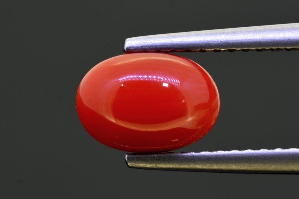 2.13 cts Natural Coral (Moonga)