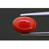 2.13 cts Natural Coral (Moonga)