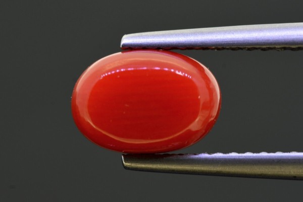2.13 cts Natural Coral (Moonga)
