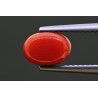 2.13 cts Natural Coral (Moonga)