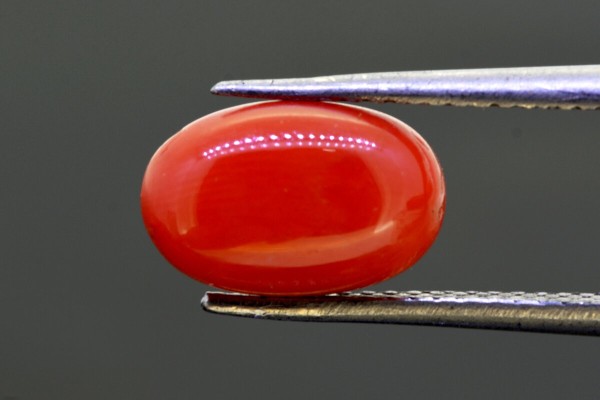 2.88 cts Natural Coral (Moonga)
