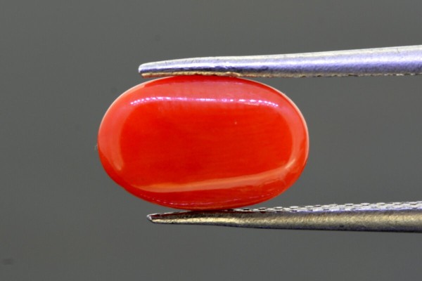 2.88 cts Natural Coral (Moonga)