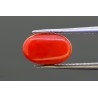 2.88 cts Natural Coral (Moonga)
