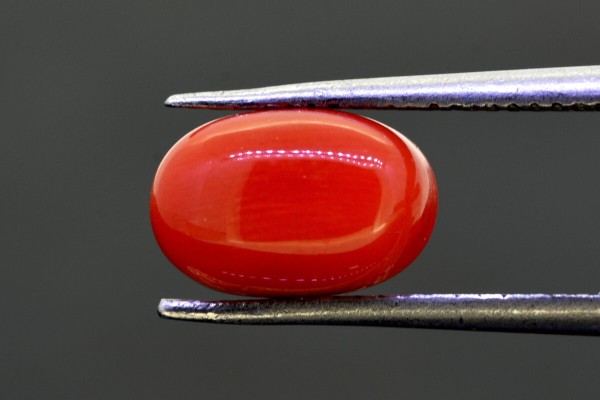 3.29 cts Natural Coral (Moonga)