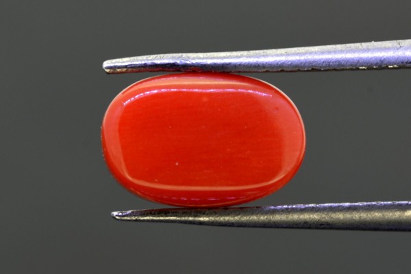 3.29 cts Natural Coral (Moonga)