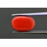 3.29 cts Natural Coral (Moonga)