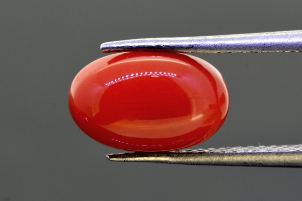 3.65 cts Natural Coral (Moonga)