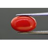 3.65 cts Natural Coral (Moonga)