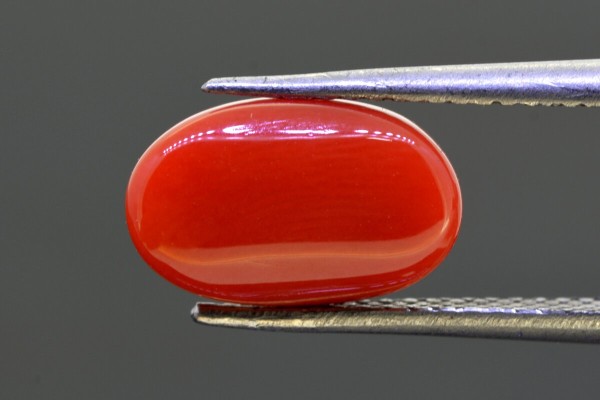 3.65 cts Natural Coral (Moonga)