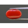 3.65 cts Natural Coral (Moonga)