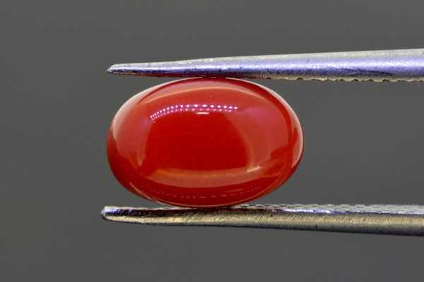 3.47 cts Natural Coral (Moonga)
