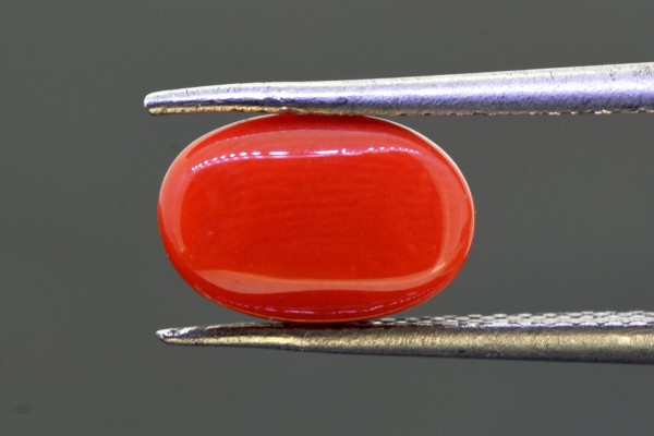 3.47 cts Natural Coral (Moonga)