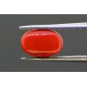 3.47 cts Natural Coral (Moonga)