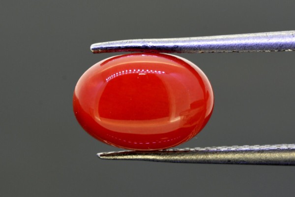 3.37 cts Natural Coral (Moonga)