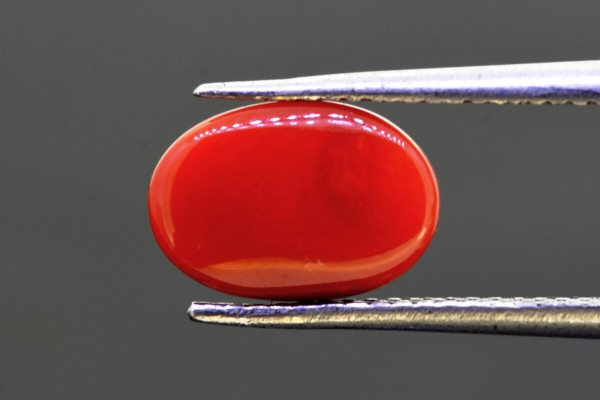 3.37 cts Natural Coral (Moonga)