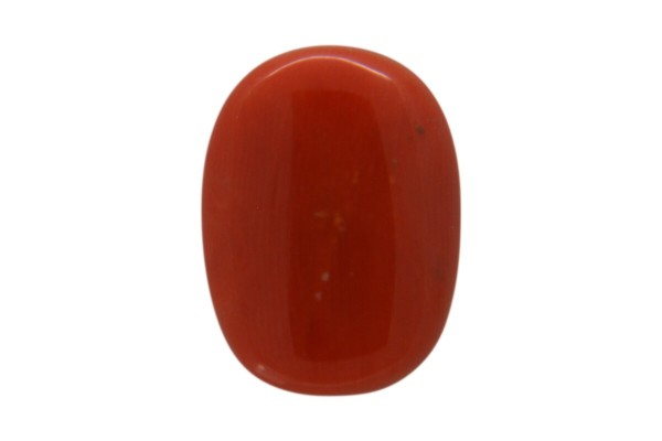 8.09 cts Natural Coral (Moonga)