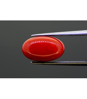 5.67 cts Natural Coral (Moonga)