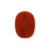 8.09 cts Natural Coral (Moonga)
