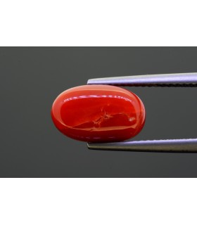 5.12 cts Natural Coral - Moonga (SKU:90145964)