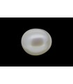 1.67 cts Cultured Pearl (Moti)