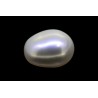 2.51 cts Cultured Pearl (Moti)