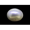15.3 cts Cultured Pearl (Moti)