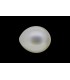 2.75 cts Cultured Pearl (Moti)