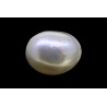 15.3 cts Cultured Pearl (Moti)