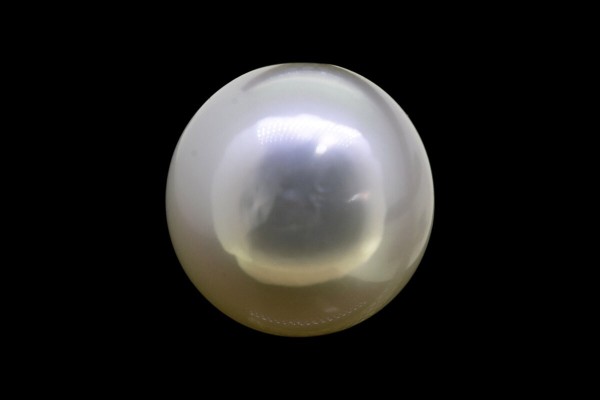 11.8 cts Cultured Pearl (Moti)