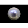 11.8 cts Cultured Pearl (Moti)