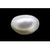 12.76 cts Cultured Pearl (Moti)